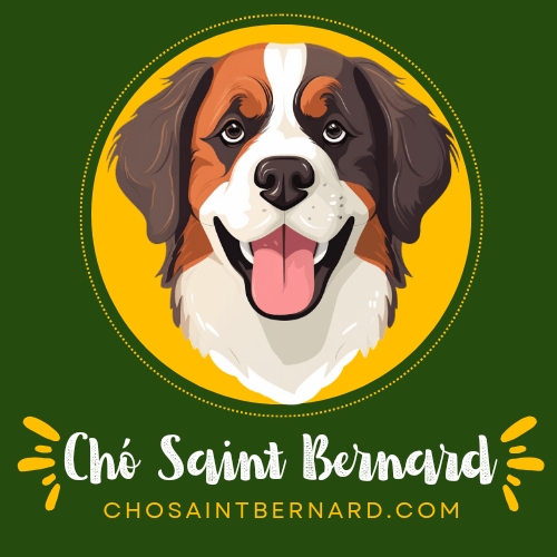 chosaintbernard.com